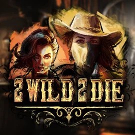 Play the 2 Wild 2 Die slot by Hacksaw Gaming on Wyns Casino