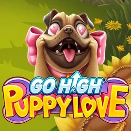 Go High Puppy Love game by RubyPlay – logo hosted on Wyns Casino