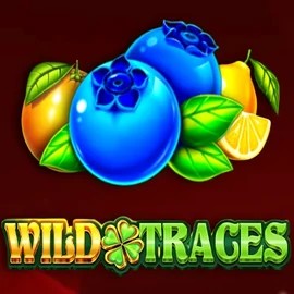 Wild Traces slot visual from Amusnet Interactive available on wyns-casinoo.com